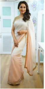 Bollywood Saree