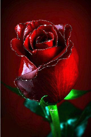 Ranjeet Shinde